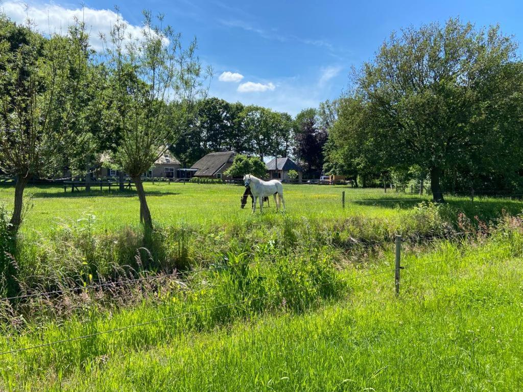 Bb De Marshoek Dalfsen Exteriör bild